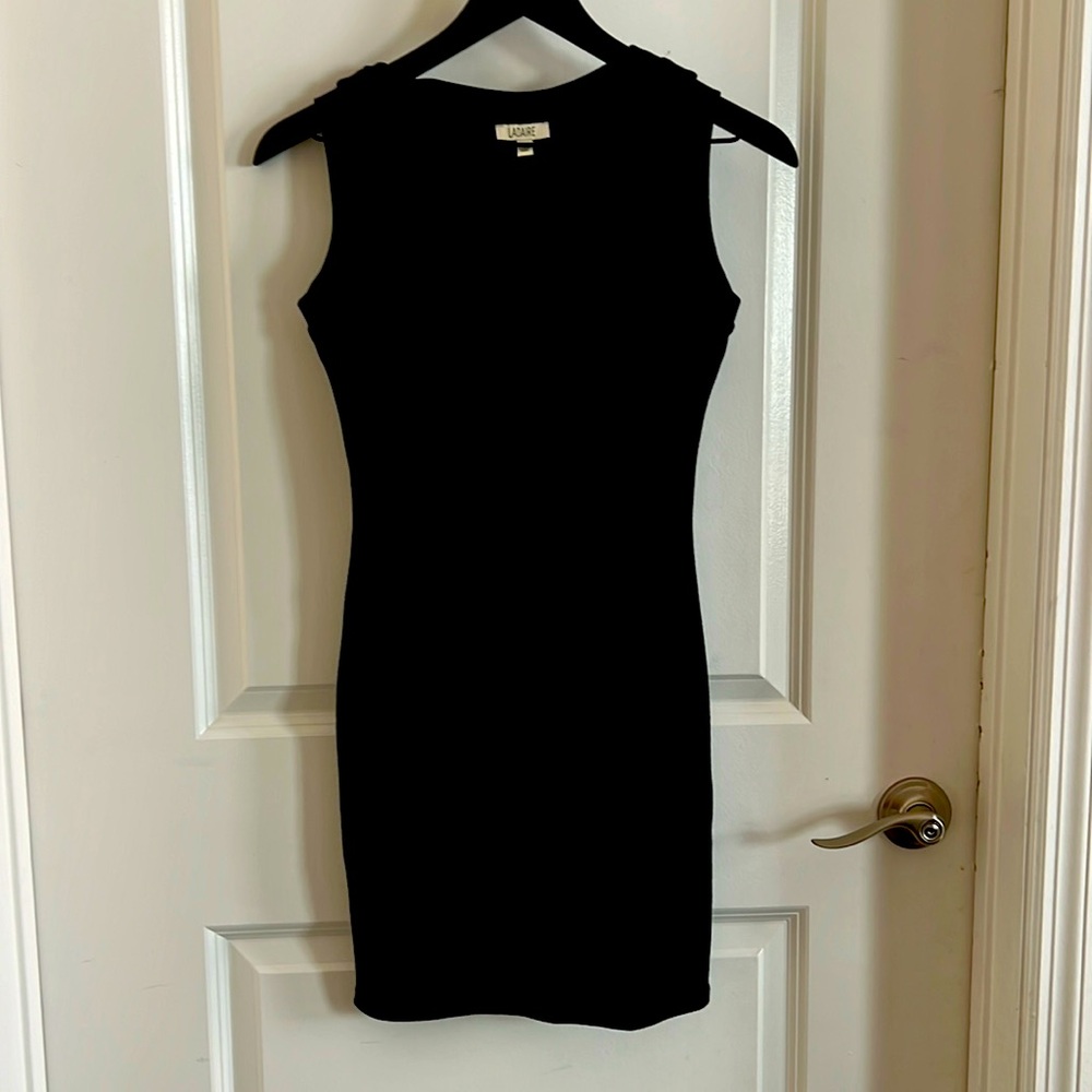 LaDaire black body contour dress